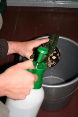 Killikus&reg; Fotographie